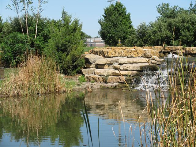 A picturesque pond with a waterfall and rocks behind it